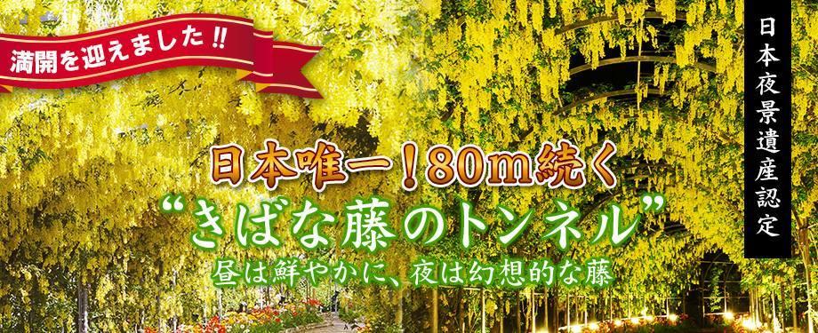 串家物語 ららぽーと新三郷店