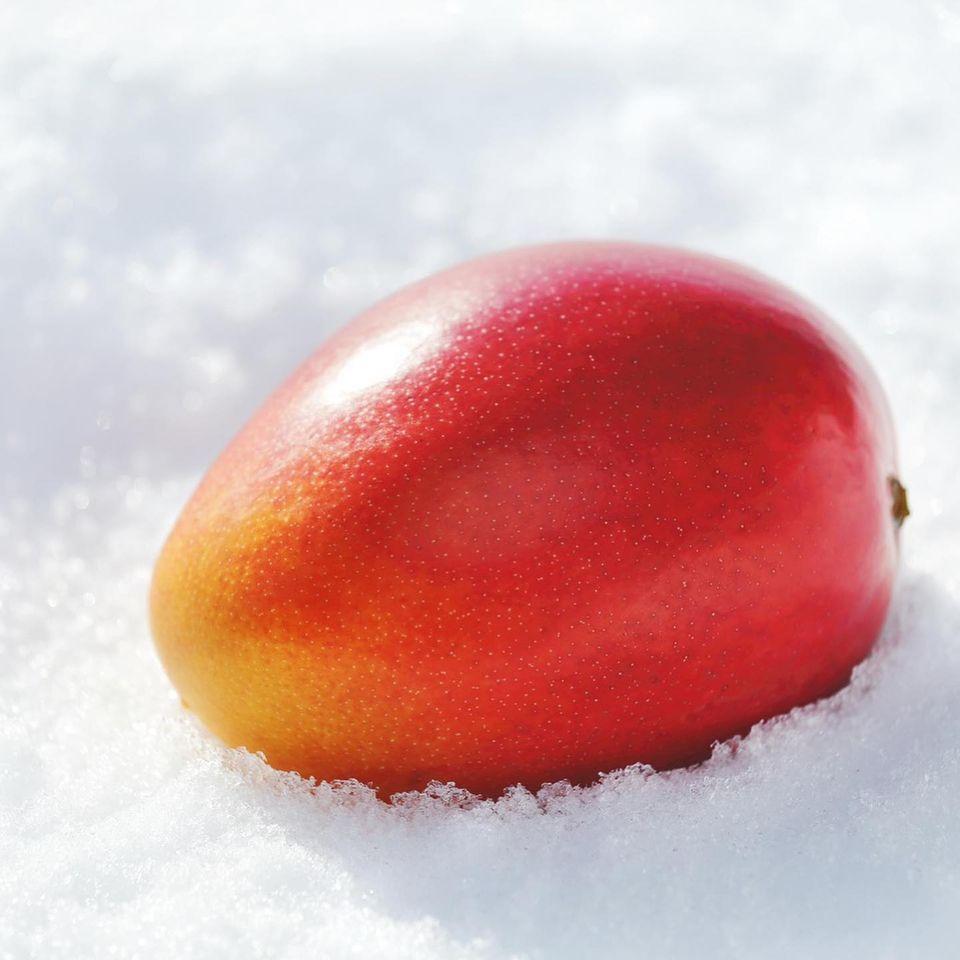 浅草よろず茶屋444