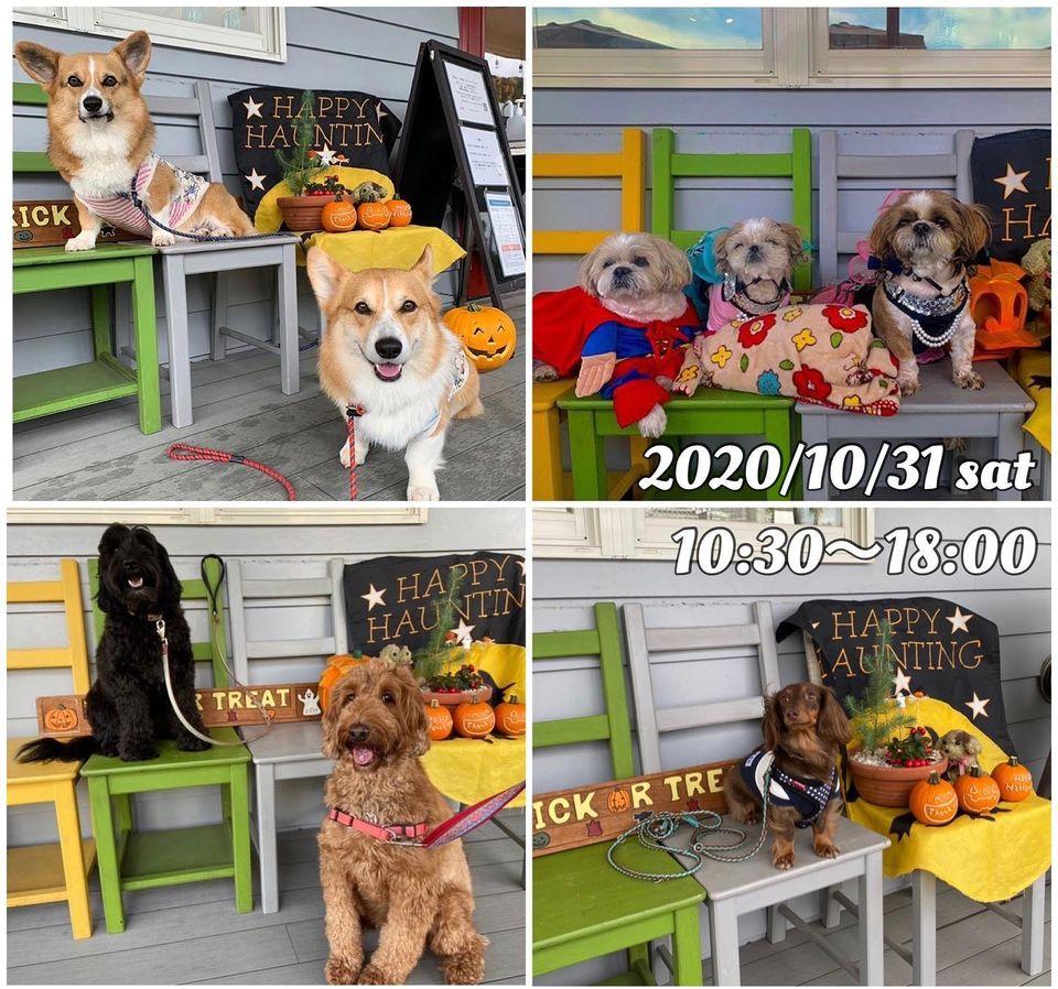 Ven！Kitchen&Dog Garden