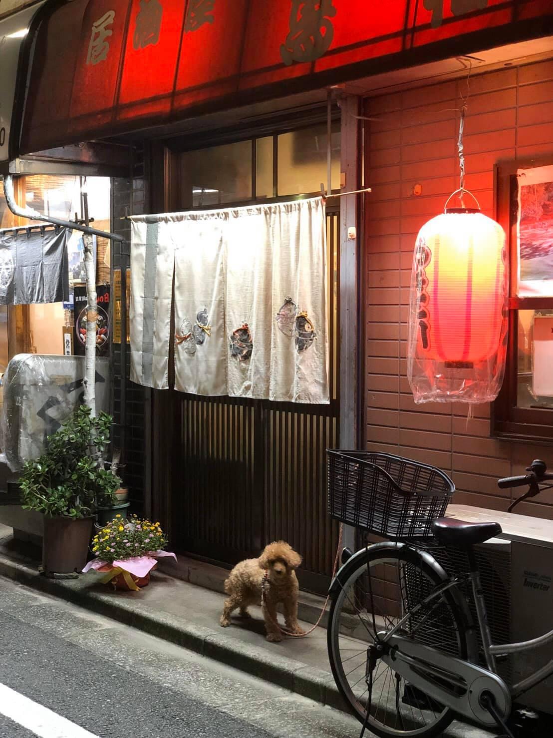 シャルルボイル 亀戸店