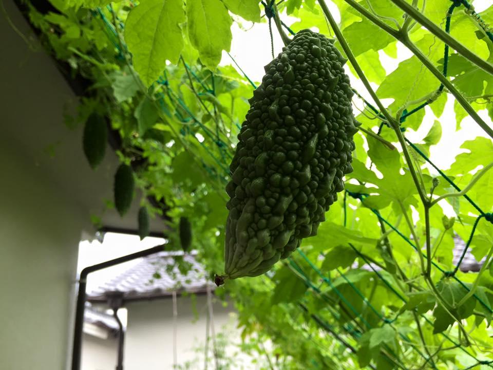 ばり馬 熊野店