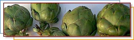 The Angry Artichoke