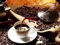 Bovardia coffee