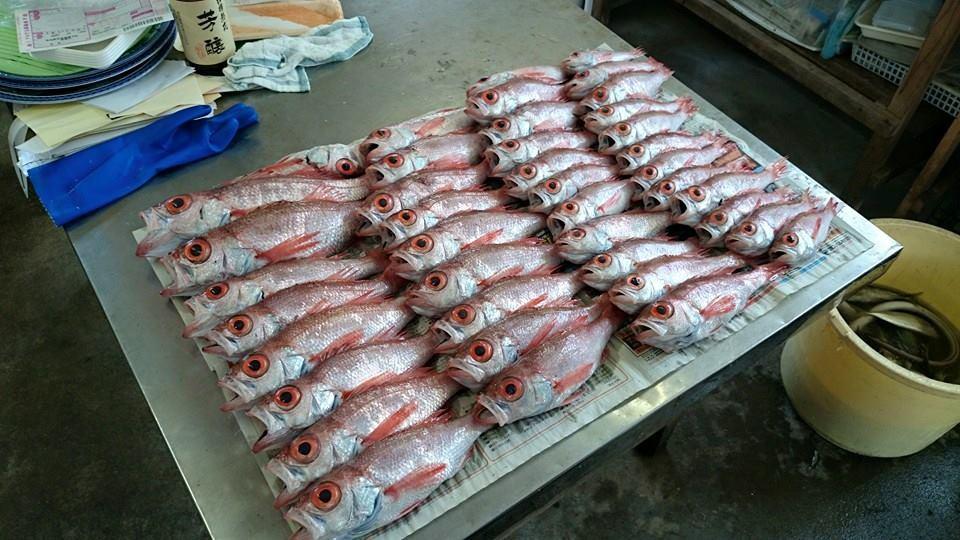 魚松