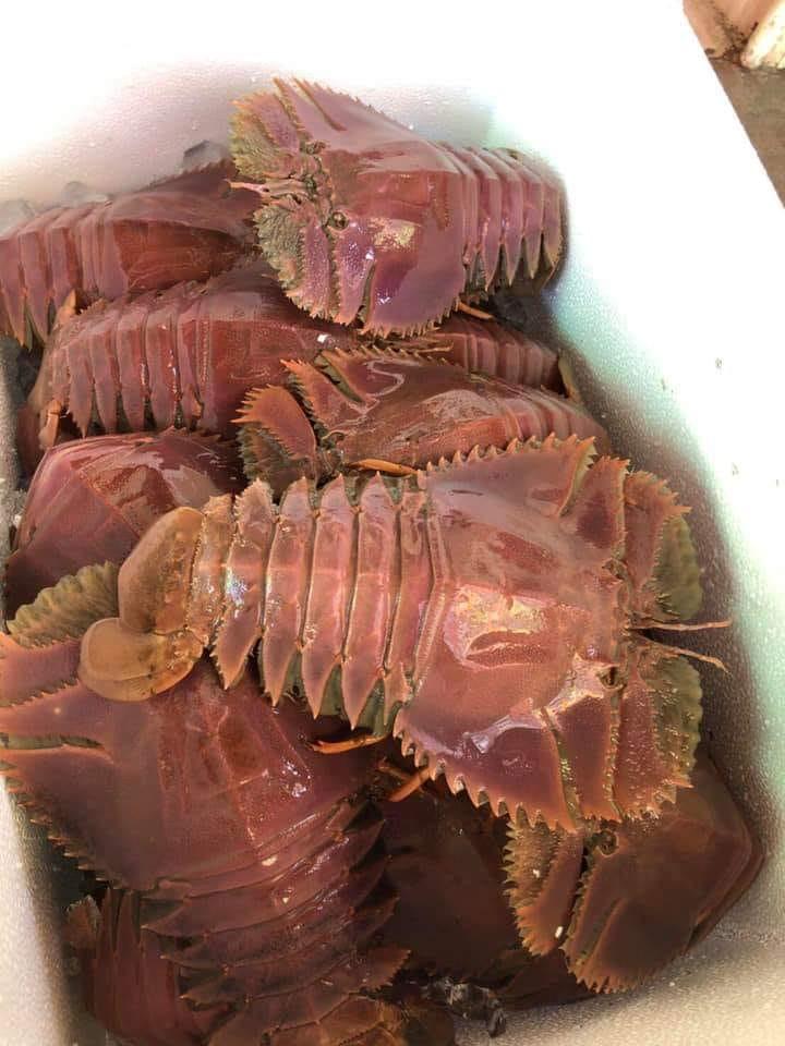 洪家小館複合式餐廳