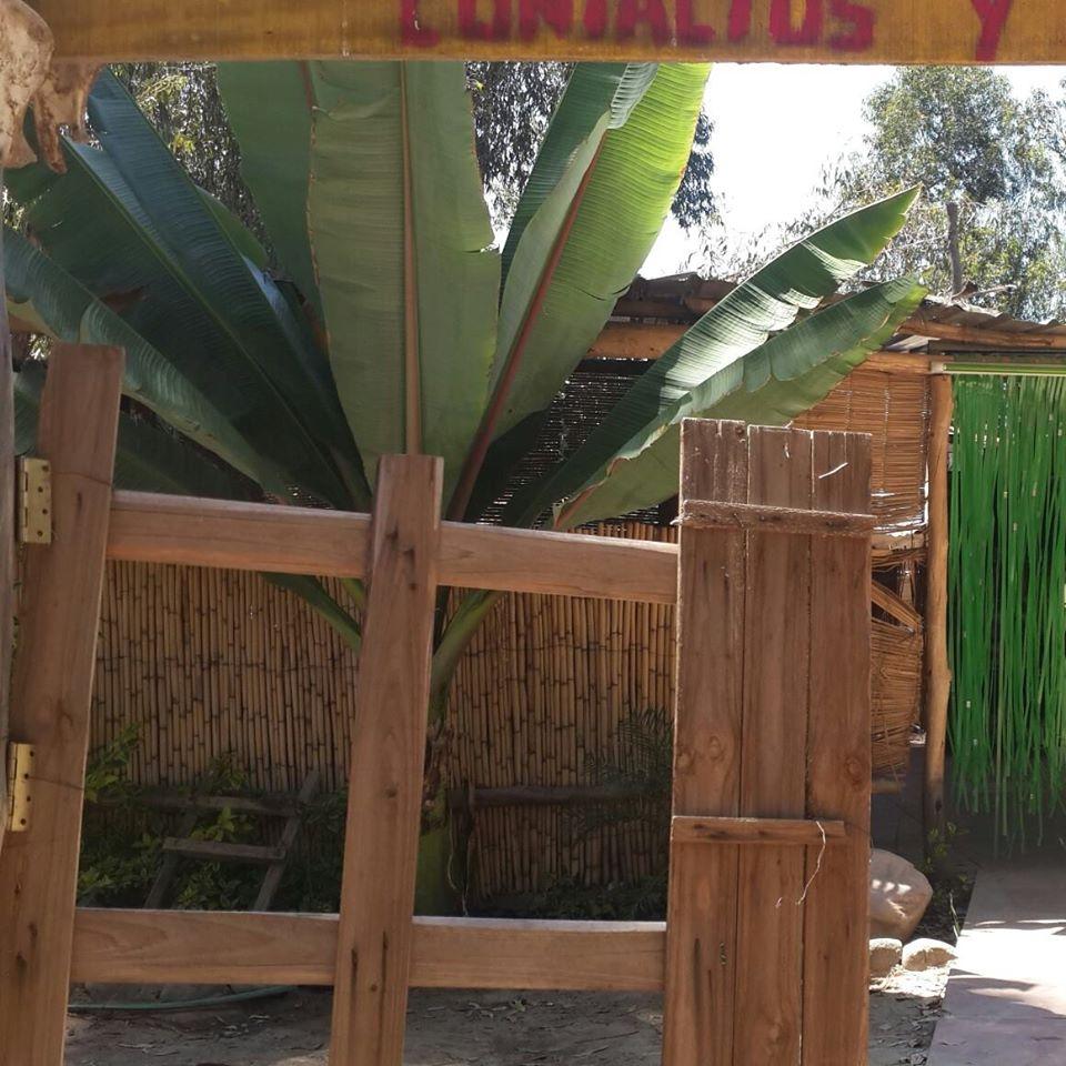 Bar Restaurant La Cabaña el Bosquecillo