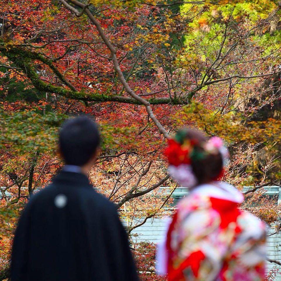 矢部川城