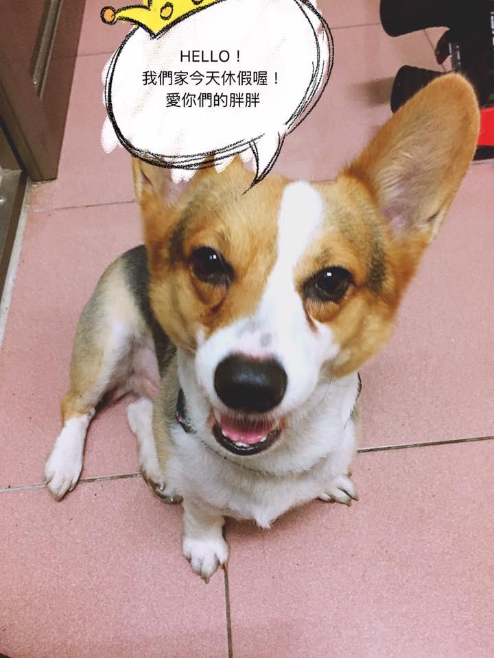 鍾記魚丸 新竹名產