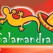 Salamandra tex-mex