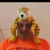 בופה על הבוקר