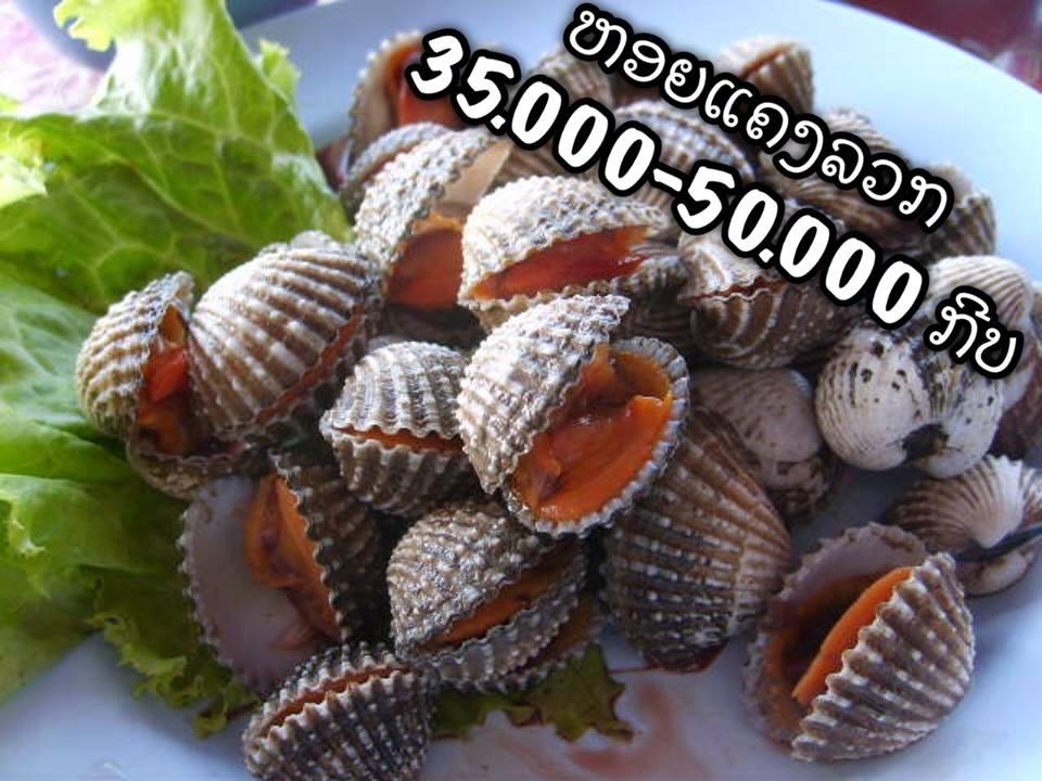 ຮ້ານ ຫຼັກເມືອງ ສະຫວັນນະເຂດ
