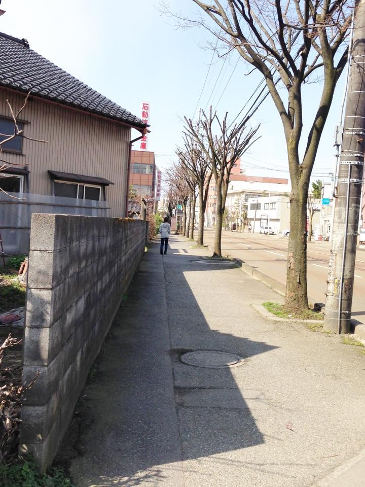 Mogura