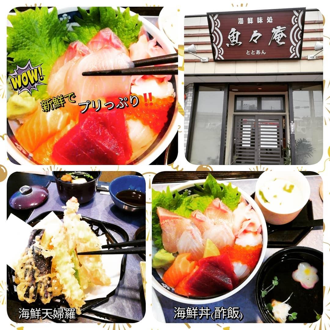 魚々庵