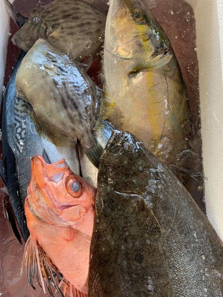 刺身居酒屋 魚男〜fish man