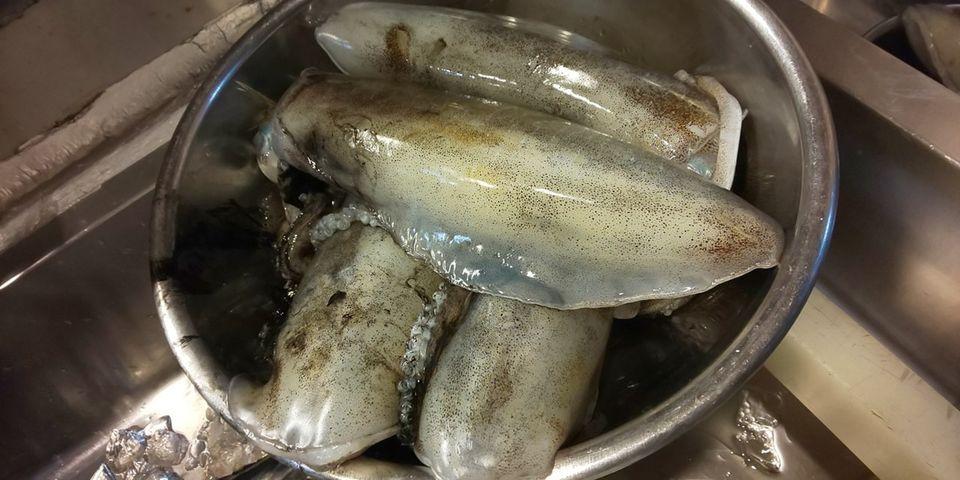 夢食堂