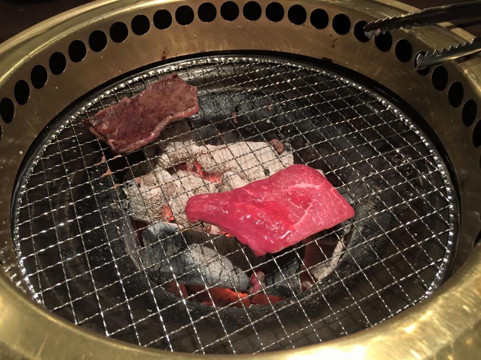 牛和鹿