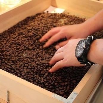 SMALL FOREST COFFEE