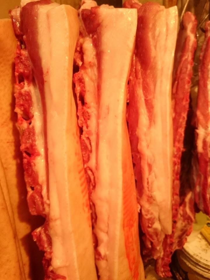 PASTi Pasta