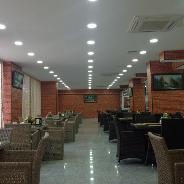 Metro Star