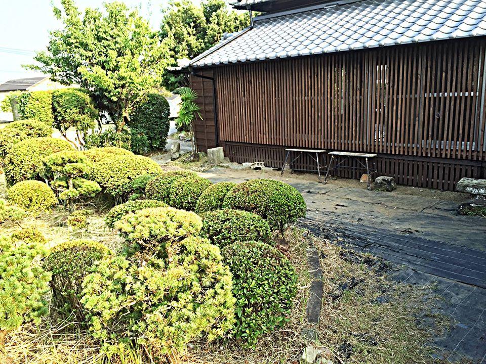 宮崎釜揚げうどん 豊宝