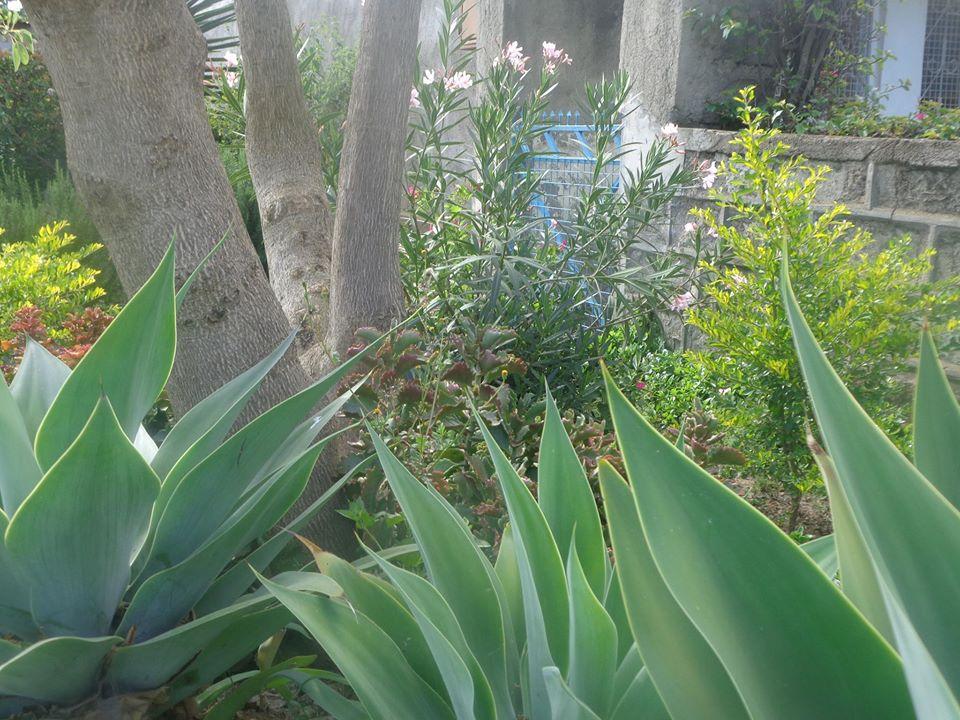 Porinicampsite and GuestInn Naivasha