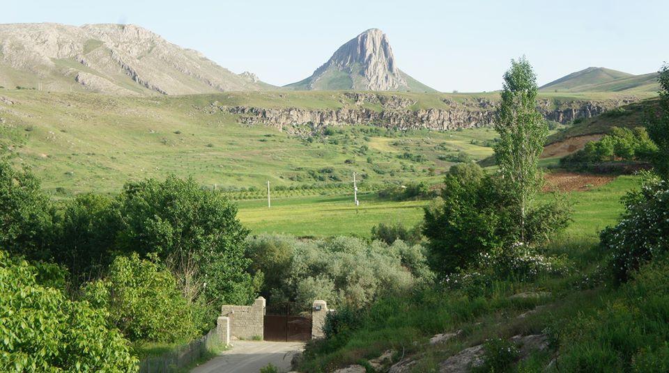 باغچه رستوران ماهی خوران