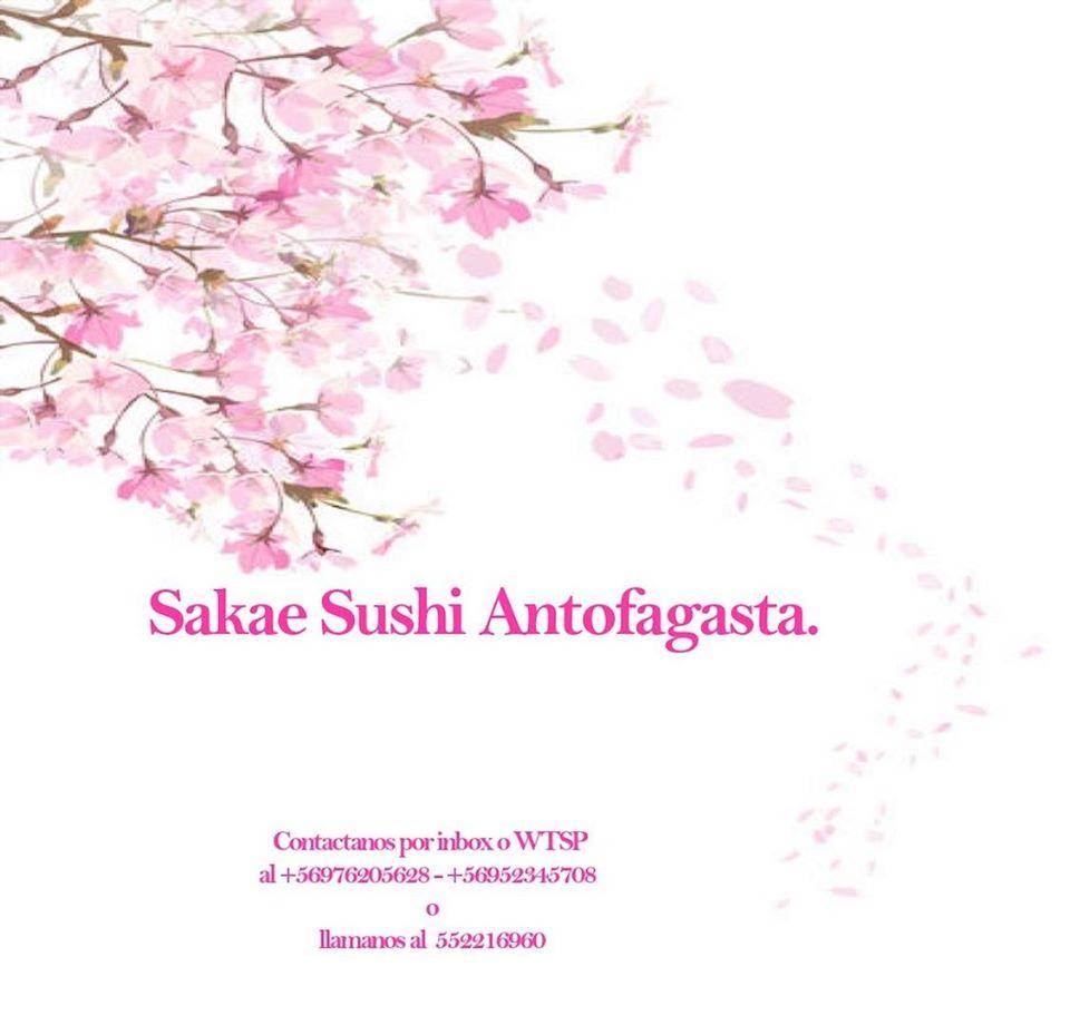Sakae Sushi Antofagasta.
