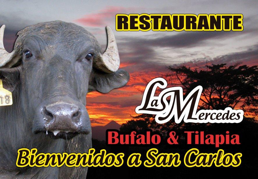 Las Mercedes