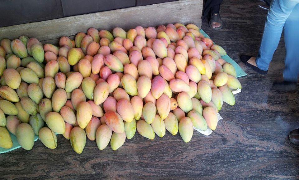 Mango Shop 芒果小舖