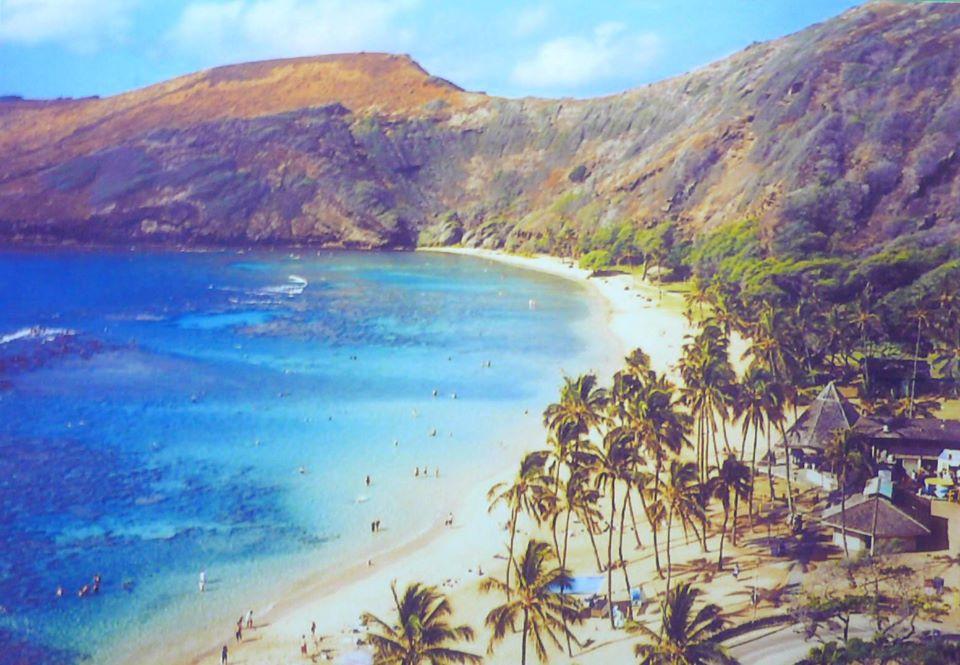 Little Hawaii