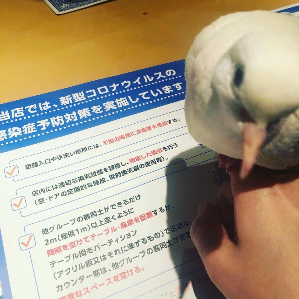 マジックバー 丸の内十時ブリックスクエア店