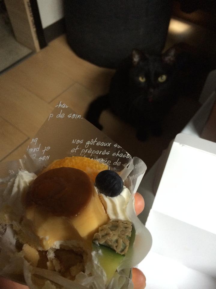 アルベリ