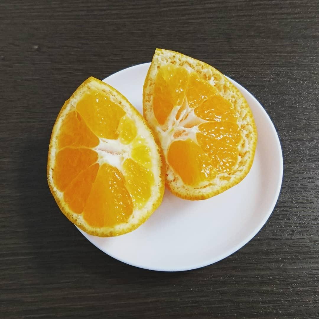レストラン チロル