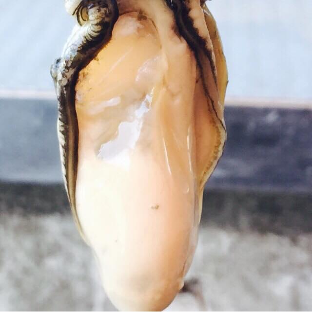 真好味現撈烤蚵