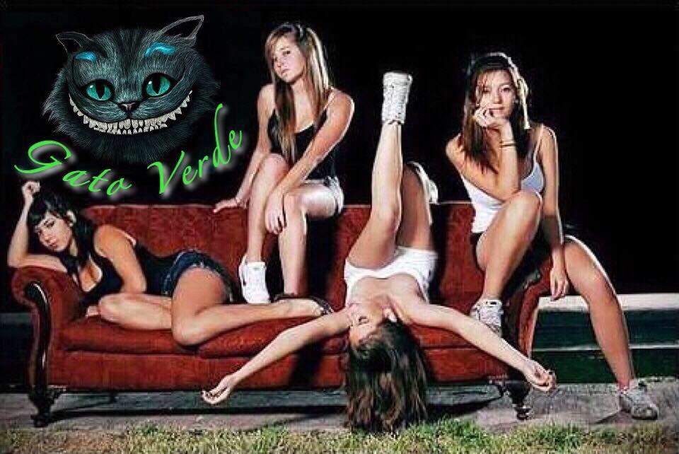 New Gato verde