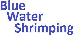 Blue-water-shrimping