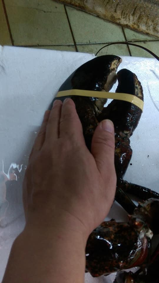 金發活海鮮城