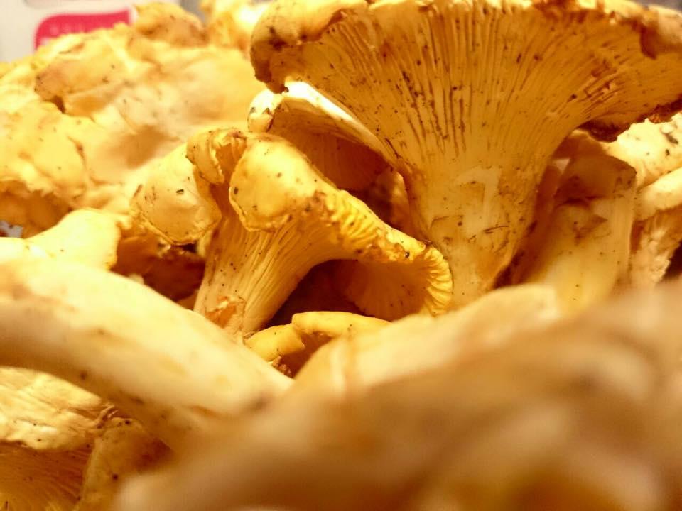 丸の内イタリアン カサリンガ