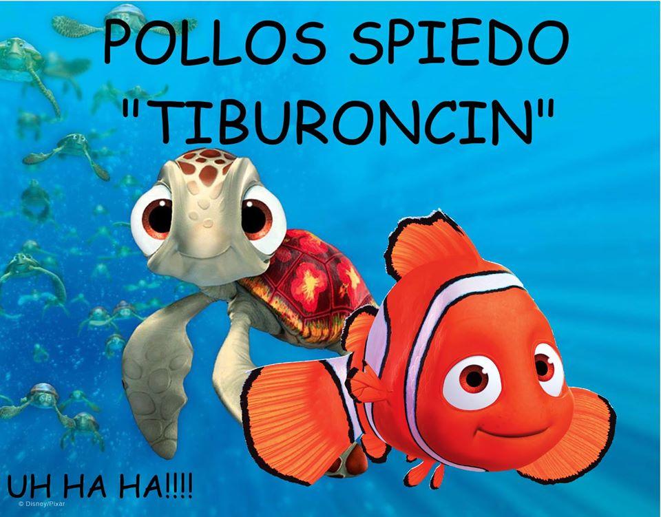 Pollos Tiburoncin