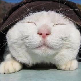 Club November