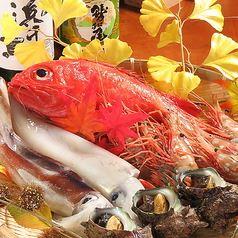 花吉　盛岡大通り店　【三陸海鮮/個室居酒屋】