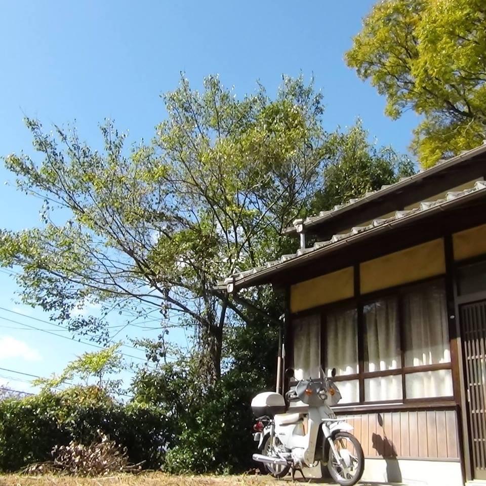 山の家　川中屋