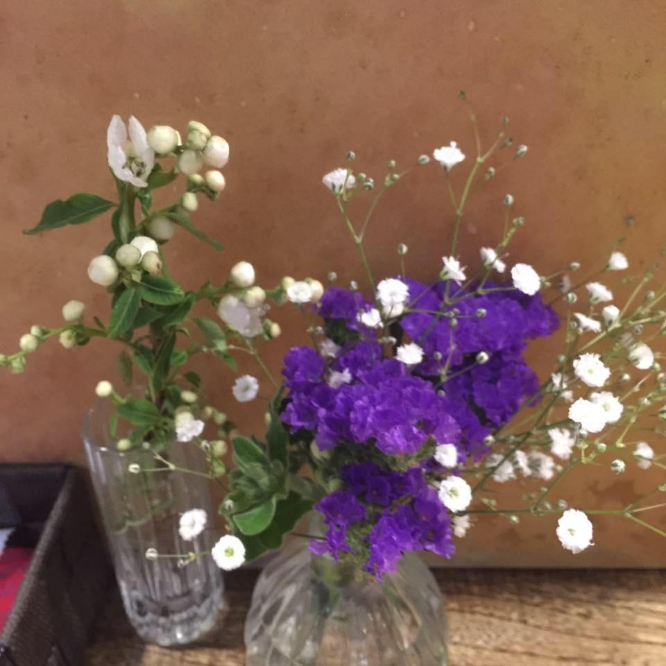 Organic Restaurant Great