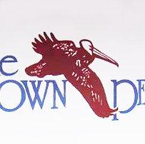The Brown Pelican
