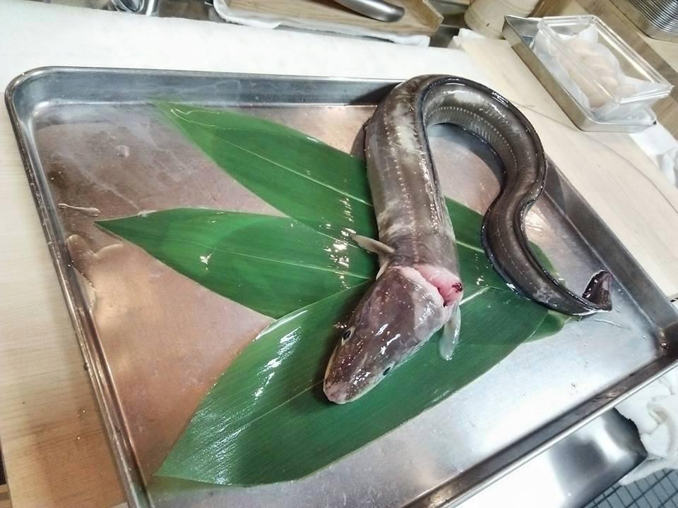 たこウ