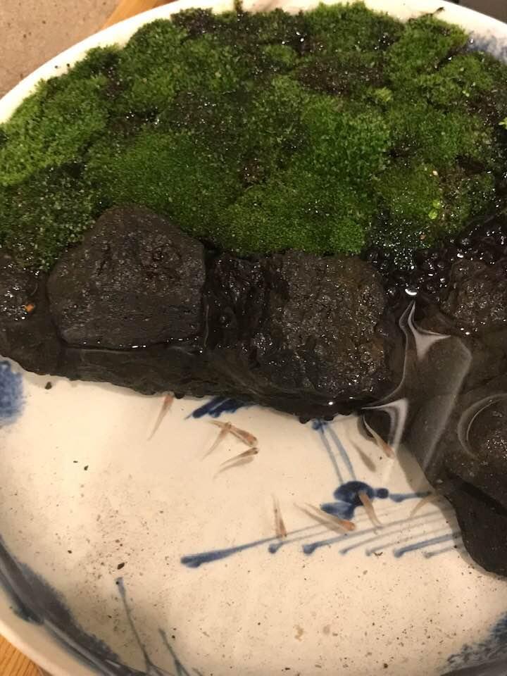 串まる