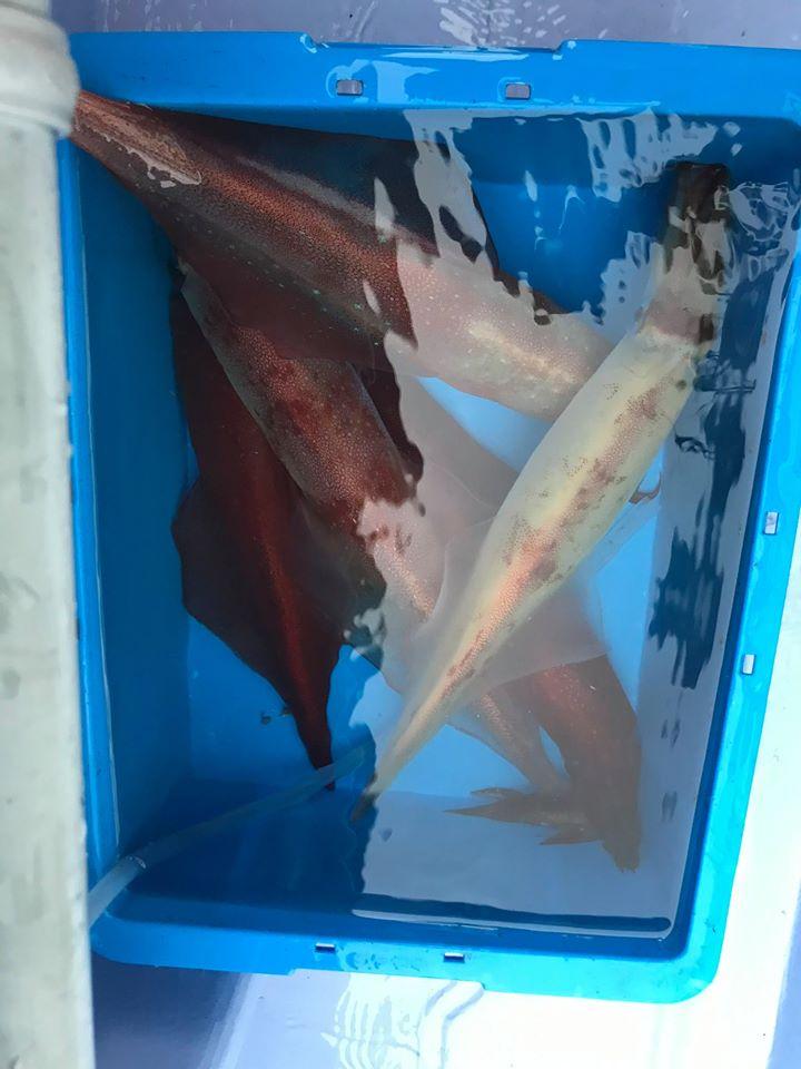 和食こばやし