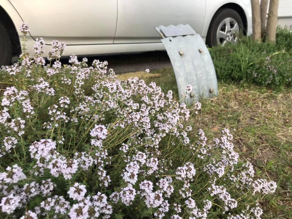 森の10居