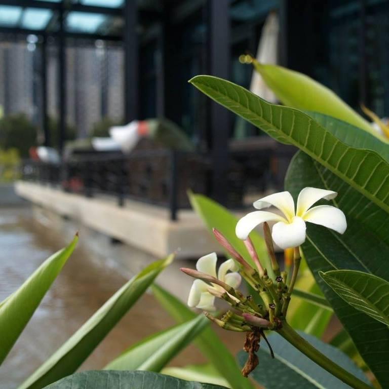 林口歐芹花園義式料理餐廳