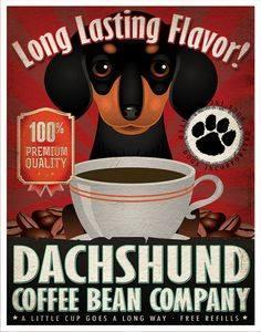 Dachshund
